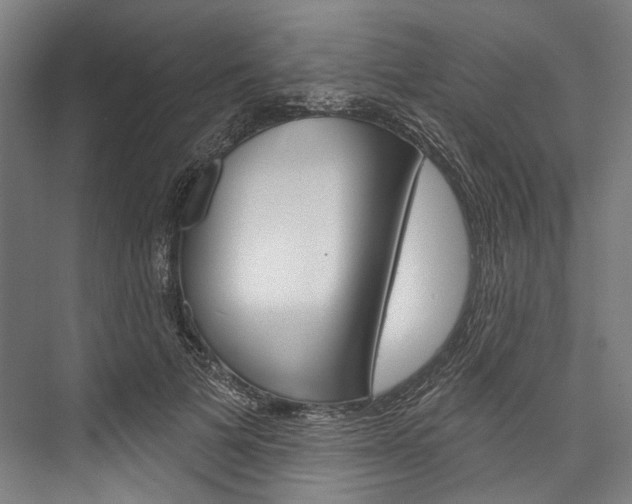 X0000076440697200610061025