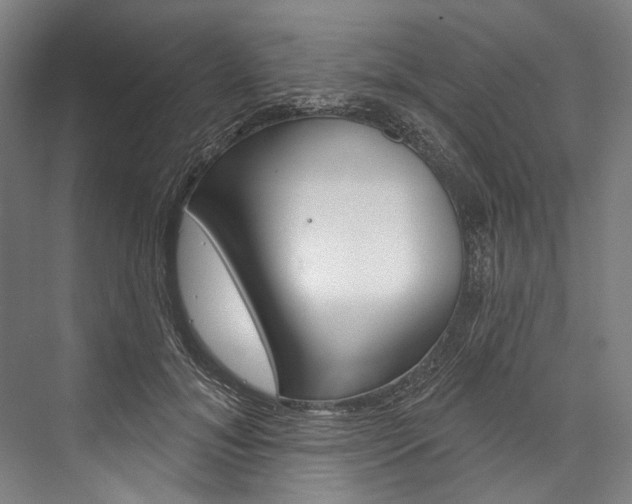 X0000076440700200610061025