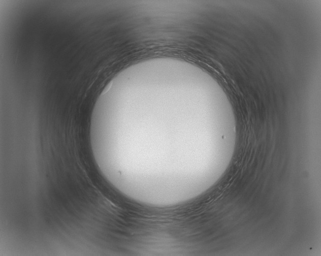 X0000076440701200610061025