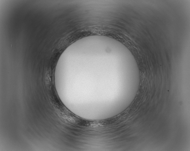 X0000076440702200610061025