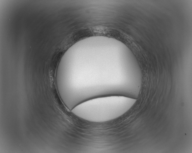 X0000076440707200610061025