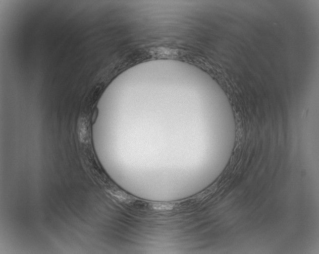 X0000076440709200610061025