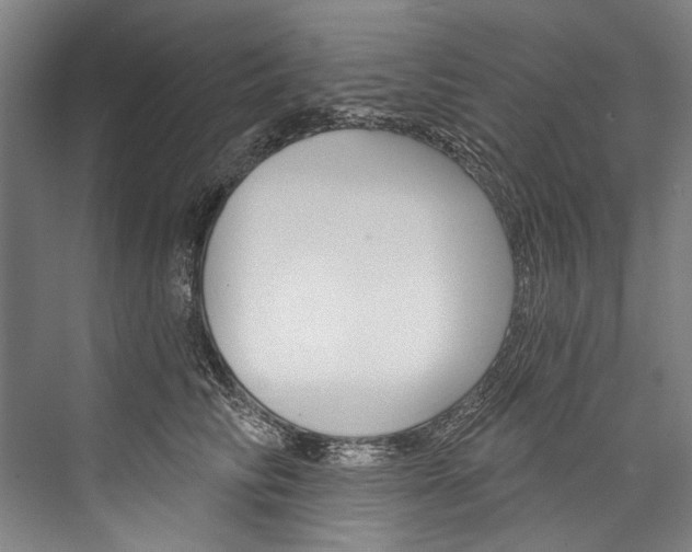 X0000076440710200610061025