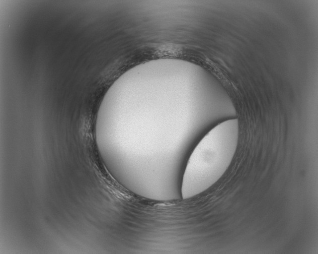 X0000076440714200610061025