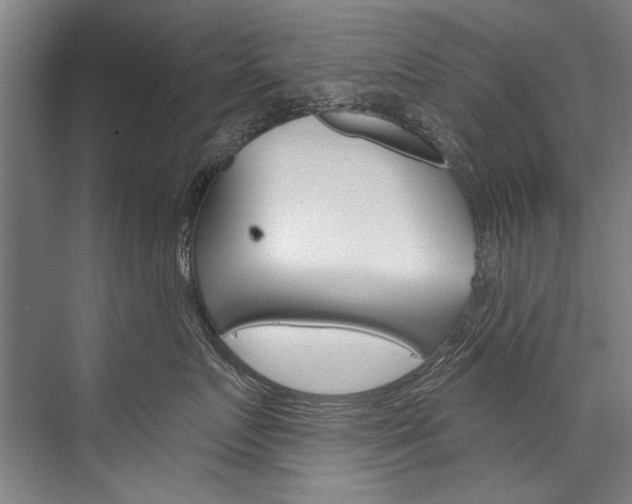 X0000076440719200610061025