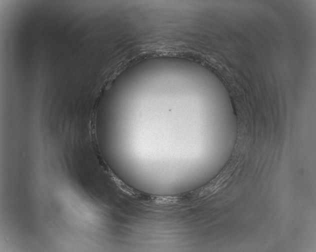 X0000076440720200610061025