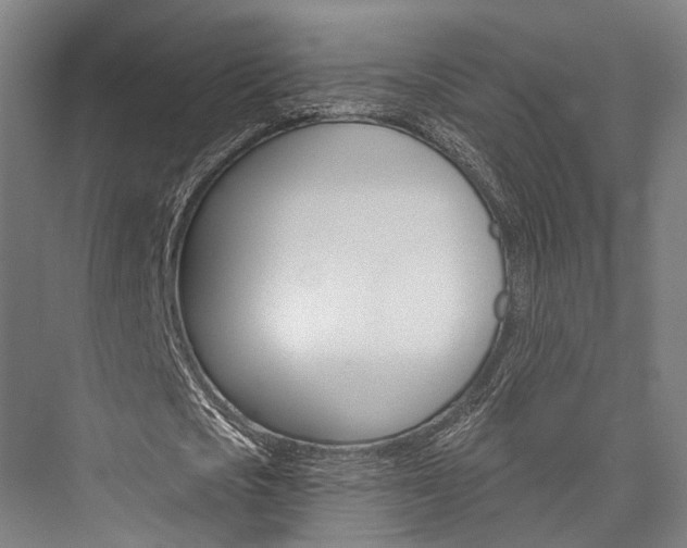 X0000076440721200610061024