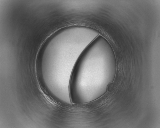 X0000076440722200610061024