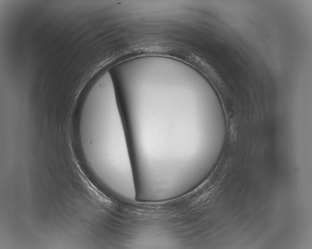 X0000076440725200610061024