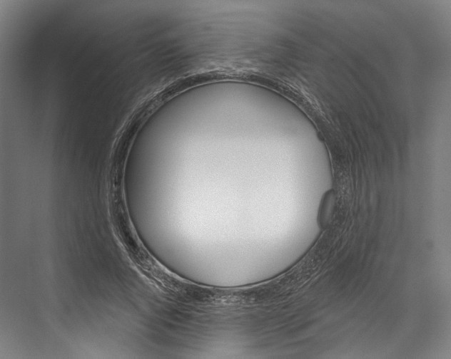 X0000076440736200610061024