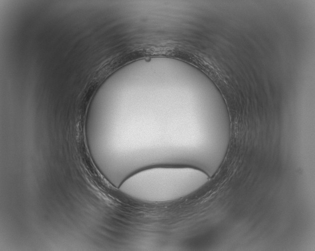 X0000076440741200610061025