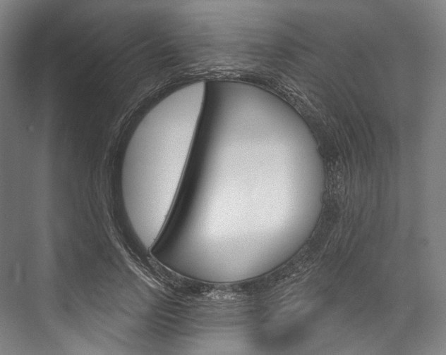 X0000076440742200610061025
