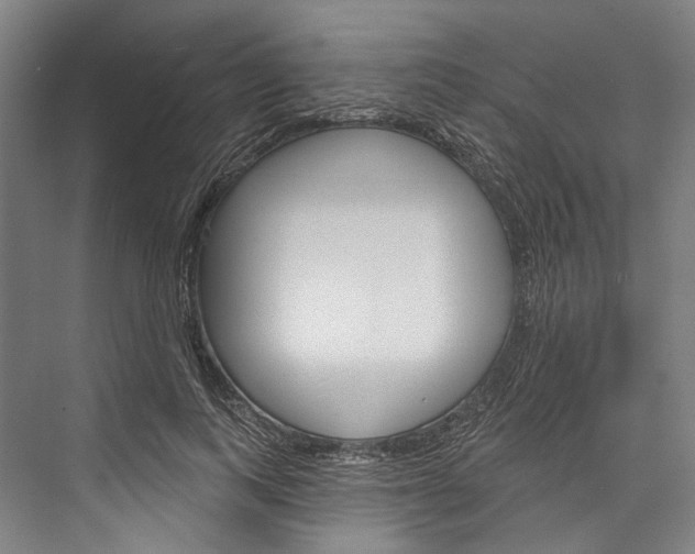 X0000076440743200610061025
