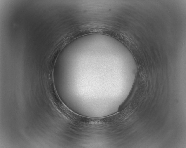 X0000076440744200610061025