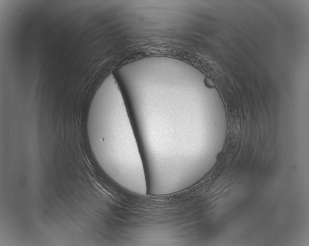 X0000076440749200610061025