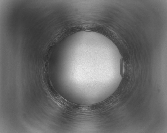 X0000076440750200610061025
