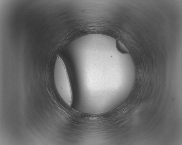 X0000076440751200610061025