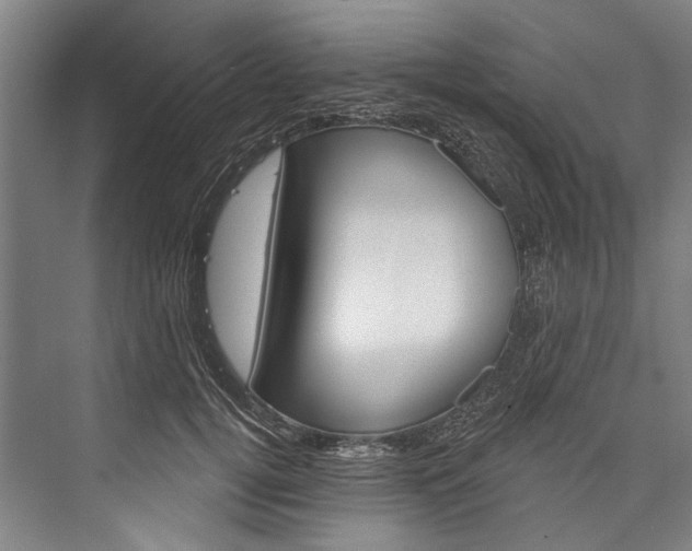 X0000076440752200610061025