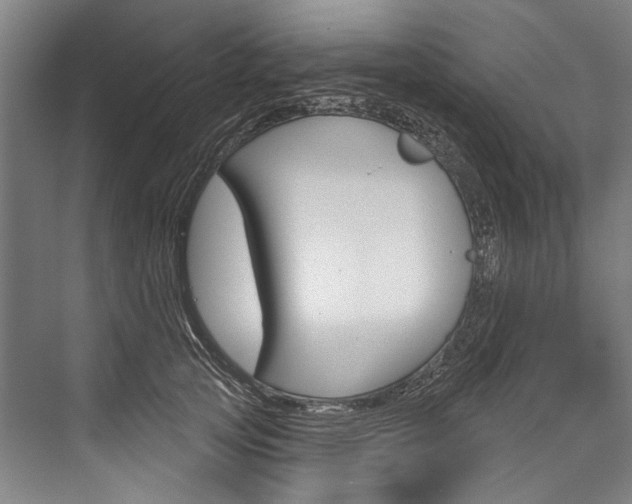 X0000076440753200610061025