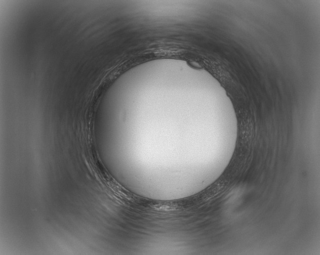 X0000076440755200610061025