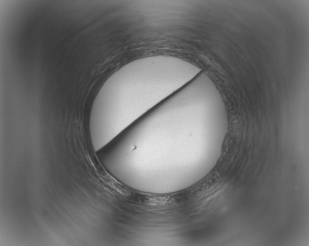 X0000076440757200610061025
