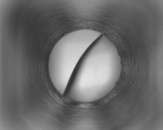 X0000076440758200610061025