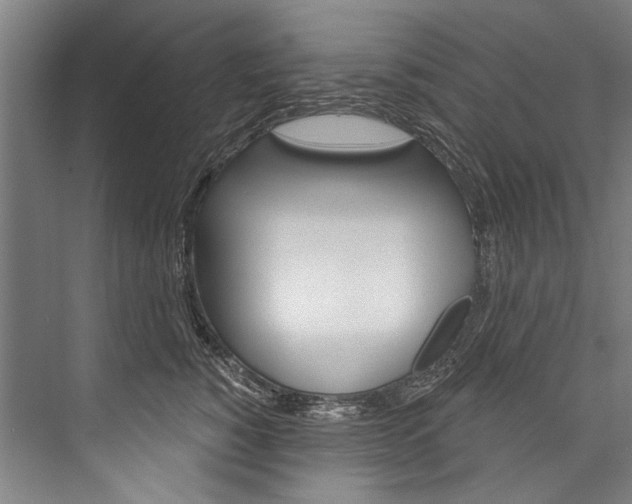 X0000076440760200610061025