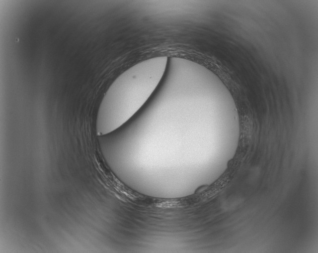 X0000076440761200610061025