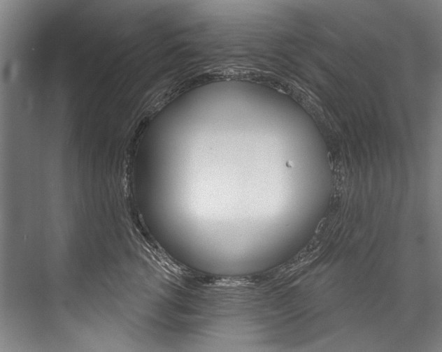 X0000076440762200610061025