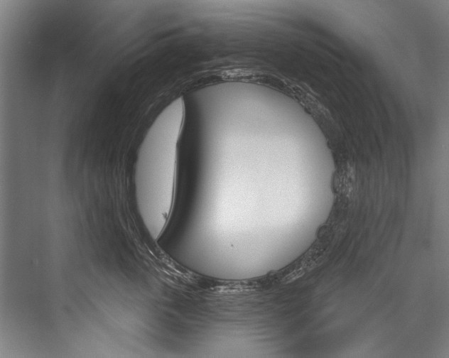 X0000076440763200610061025
