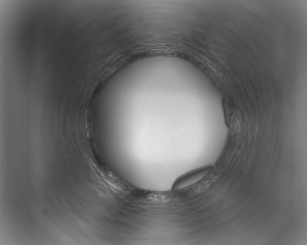 X0000076440764200610061025