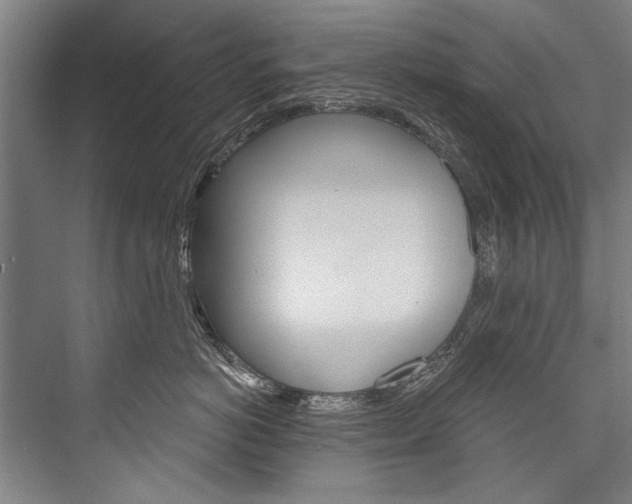 X0000076440766200610061025