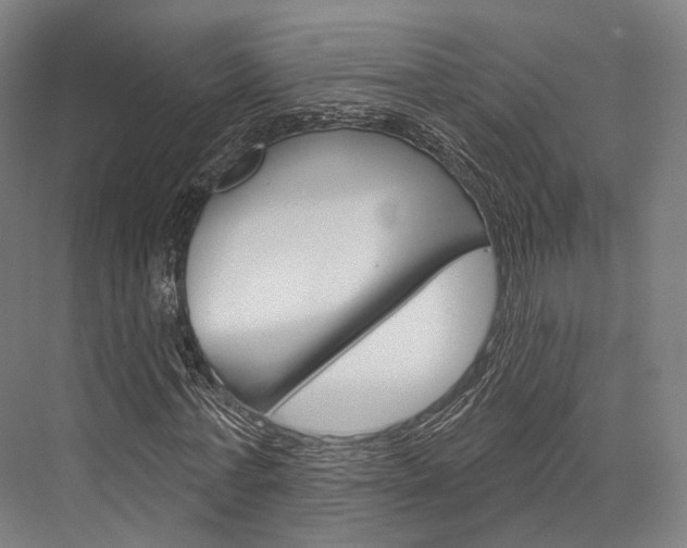 X0000076440771200610061024