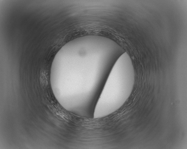 X0000076440772200610061024