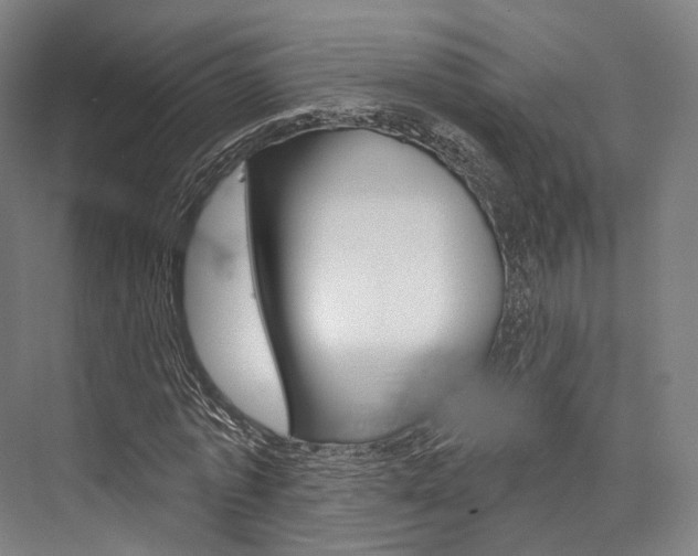X0000076440773200610061024