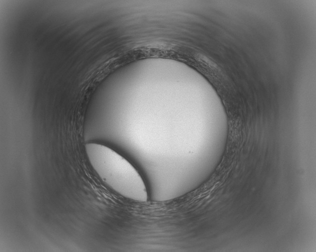 X0000076440774200610061024