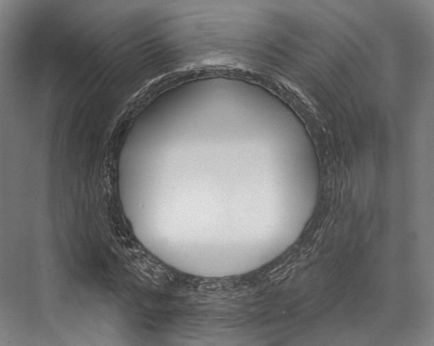X0000076440776200610061024