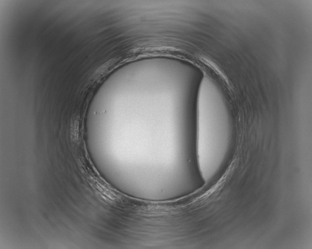 X0000076440777200610061024