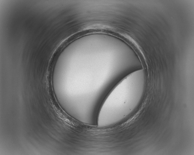 X0000076440783200610061024