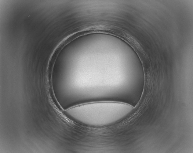 X0000076440784200610061024
