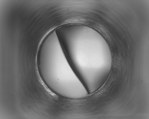 X0000076440796200610061024