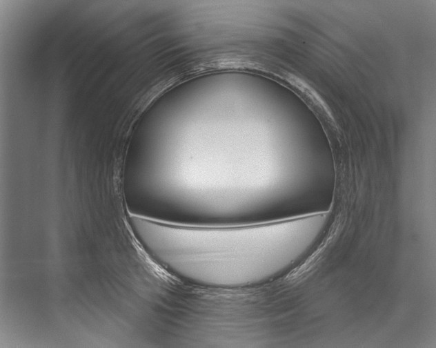 X0000076440801200610061024