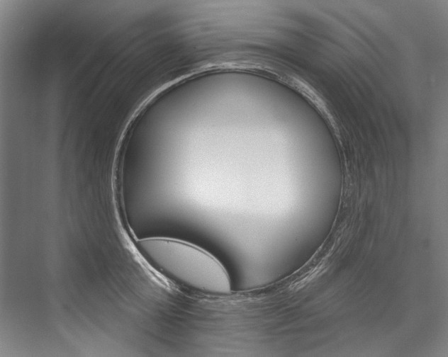 X0000076440803200610061024