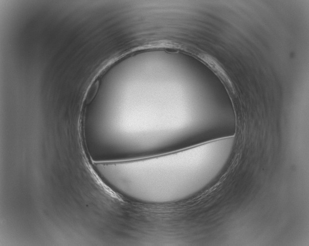 X0000076440805200610061024