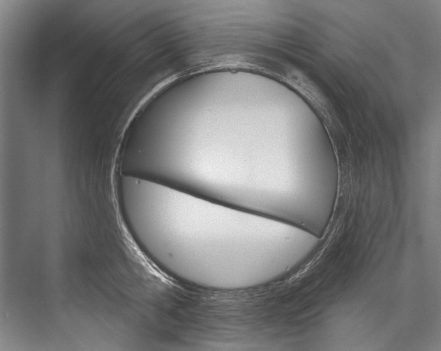 X0000076440806200610061024
