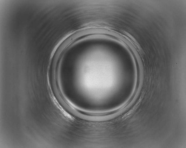 X0000076440812200610061023