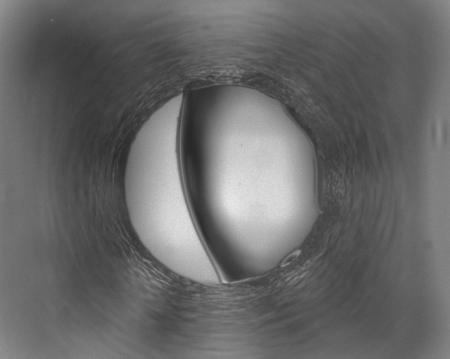 X0000076440818200610061023