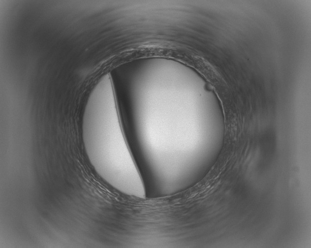 X0000076440821200610061023