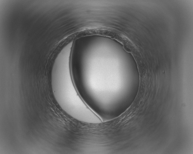X0000076440822200610061023