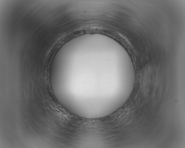X0000076440823200610061023
